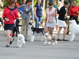 10tdQE5Bn.jpg (126.42 КБ, Просмотров: 12590) 10tdQE5Bn.jpg