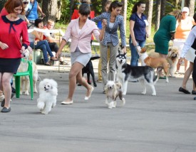 bmdN1Vmm.jpg (131.36 КБ, Просмотров: 12145) bmdN1Vmm.jpg