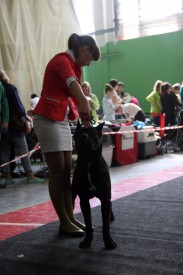 11k2tYmhf.jpg (249.31 КБ, Просмотров: 12854) 11k2tYmhf.jpg