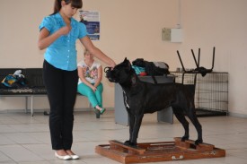 169kK9Wfj.jpg (105.12 КБ, Просмотров: 12144) 169kK9Wfj.jpg