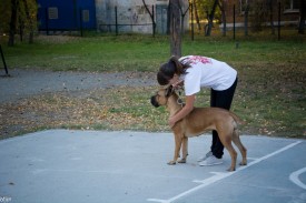 iAT9zCDubZs.jpg (211.22 КБ, Просмотров: 12155) iAT9zCDubZs.jpg