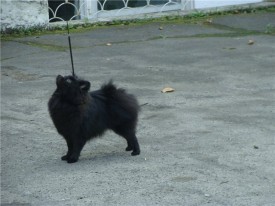 d2859ff39b47.jpg (62.36 КБ, Просмотров: 1315) d2859ff39b47.jpg