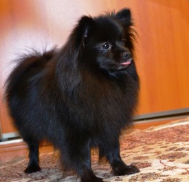 Безымянный.jpg (417.52 КБ, Просмотров: 1312) Безымянный.jpg