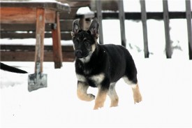 етона2.jpg (46.16 КБ, Просмотров: 2127) етона2.jpg