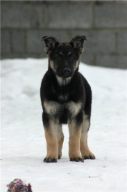 етона.jpg (43.92 КБ, Просмотров: 2128) етона.jpg