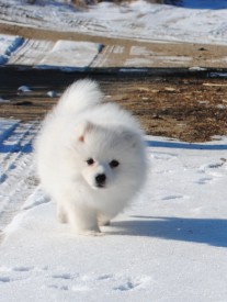 2.jpg (229.56 КБ, Просмотров: 1248) 2.jpg