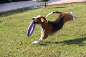 10686920_895658880444605_5389595499850754802_n.jpg (92.46 КБ, Просмотров: 9721) 10686920_895658880444605_5389595499850754802_n.jpg