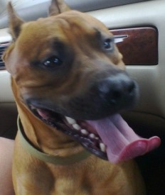 J7KPia_bQ54.jpg (66.52 КБ, Просмотров: 1749) J7KPia_bQ54.jpg