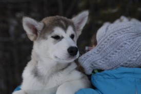 JxLlLp7VnV4.jpg (97.3 КБ, Просмотров: 2023) JxLlLp7VnV4.jpg