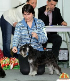 WXF9JT9Q9G.jpg (106.31 КБ, Просмотров: 1209) WXF9JT9Q9G.jpg