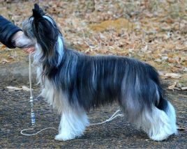 188zyAAzs.jpg (17.46 КБ, Просмотров: 3896) 188zyAAzs.jpg