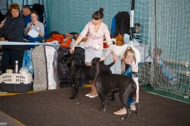 RLC55Kb_KZ8.jpg (293.8 КБ, Просмотров: 12814) RLC55Kb_KZ8.jpg