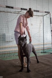 uk4ViVZliGc.jpg (166.36 КБ, Просмотров: 12116) uk4ViVZliGc.jpg