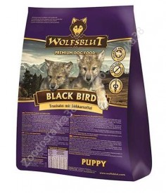 Black_Bird_Pappy.jpg (41.65 КБ, Просмотров: 3000) Black_Bird_Pappy.jpg