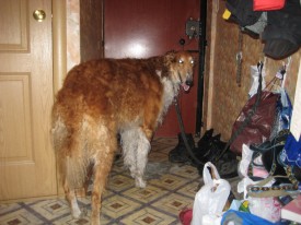 2hzCllintSc.jpg (226.73 КБ, Просмотров: 3397) 2hzCllintSc.jpg