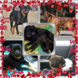 пара.jpg (119.56 КБ, Просмотров: 2513) пара.jpg