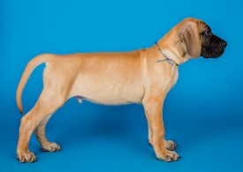 DSC_9898-800.jpg (52.66 КБ, Просмотров: 1155) DSC_9898-800.jpg