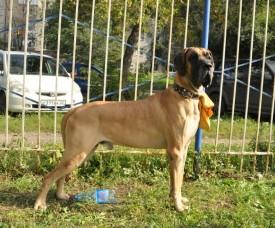 Папа.jpg (263.95 КБ, Просмотров: 1205) Папа.jpg