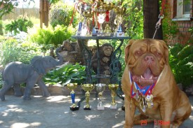 imageCA4B0CR7.jpg (252.5 КБ, Просмотров: 1269) imageCA4B0CR7.jpg