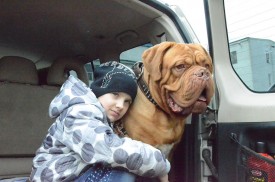 imageCA5UVXV0.jpg (176.11 КБ, Просмотров: 1333) imageCA5UVXV0.jpg