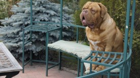 imageCA51ORT7.jpg (173.04 КБ, Просмотров: 1269) imageCA51ORT7.jpg