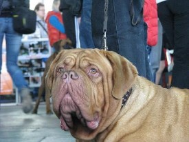 image3JD10CM6.jpg (31.96 КБ, Просмотров: 1269) image3JD10CM6.jpg