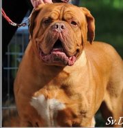 image8E8XLLYN.jpg (10.19 КБ, Просмотров: 1269) image8E8XLLYN.jpg