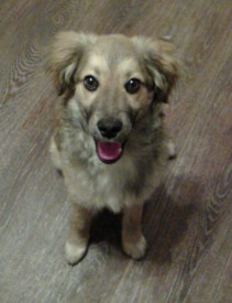 17-1.jpg (57.82 КБ, Просмотров: 3427) 17-1.jpg