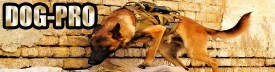 DOG-PRO.jpg (267.9 КБ, Просмотров: 11725) DOG-PRO.jpg