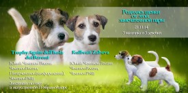 BxEXz2Y2g6M.jpg (80.17 КБ, Просмотров: 1334) BxEXz2Y2g6M.jpg