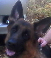 2.jpg (24.36 КБ, Просмотров: 1308) 2.jpg