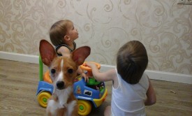 20150109_134912.jpg (414.21 КБ, Просмотров: 1322) 20150109_134912.jpg