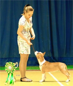 доча1.jpg (164.25 КБ, Просмотров: 4327) доча1.jpg