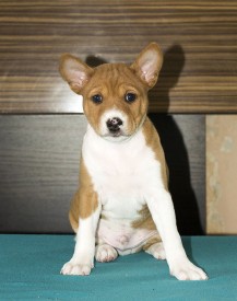 М4ЛицоАк.jpg (148.07 КБ, Просмотров: 2645) М4ЛицоАк.jpg