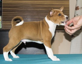 М4СтойкаАк.jpg (168.62 КБ, Просмотров: 2783) М4СтойкаАк.jpg