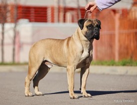 1375283_588030764566888_250024101_n.jpg (58.77 КБ, Просмотров: 3404) 1375283_588030764566888_250024101_n.jpg