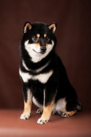 1-1.jpg (107.05 КБ, Просмотров: 1824) 1-1.jpg