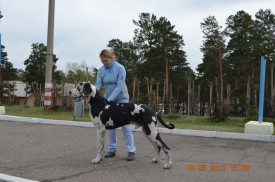 DSC_1092 1.jpg (504.96 КБ, Просмотров: 15093) DSC_1092 1.jpg
