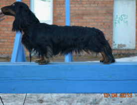 KhHNqKKy.png (423.72 КБ, Просмотров: 3671) KhHNqKKy.png