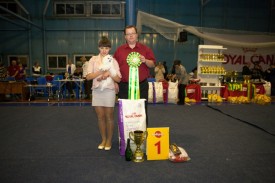 _MG_4154.jpg (121.74 КБ, Просмотров: 12012) _MG_4154.jpg