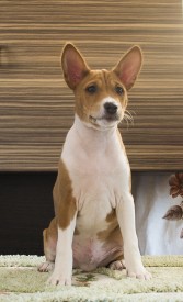 М4ЛицоАк.jpg (475.67 КБ, Просмотров: 2587) М4ЛицоАк.jpg