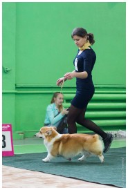 IMG_5744.jpg (170.81 КБ, Просмотров: 5877) IMG_5744.jpg