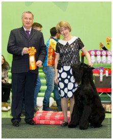 IMG_6653.jpg (219.78 КБ, Просмотров: 5672) IMG_6653.jpg