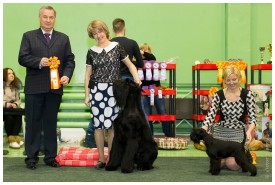 IMG_6655.jpg (212.55 КБ, Просмотров: 5656) IMG_6655.jpg