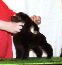 DSCF4829.jpg (39.85 КБ, Просмотров: 1427) DSCF4829.jpg