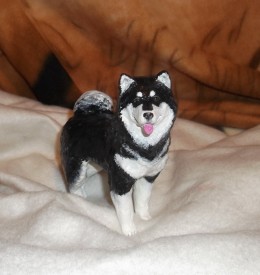 DSCF2500маламут1.jpg (359.95 КБ, Просмотров: 4685) DSCF2500маламут1.jpg