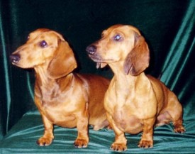 Baks-i-Princ_400.jpg (25.92 КБ, Просмотров: 10845) Baks-i-Princ_400.jpg