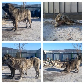 2015-02-02_11.14.35.jpg (117.08 КБ, Просмотров: 7140) 2015-02-02_11.14.35.jpg