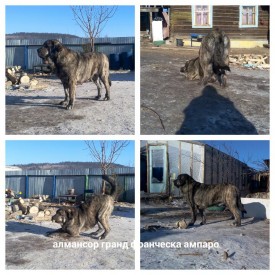 2015-02-02_11.20.54.jpg (121.2 КБ, Просмотров: 7137) 2015-02-02_11.20.54.jpg