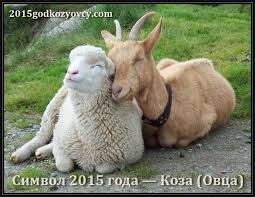 коза и овца.jpeg (10.94 КБ, Просмотров: 11610) коза и овца.jpeg